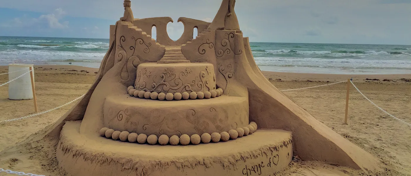 Exhibitions & Contests